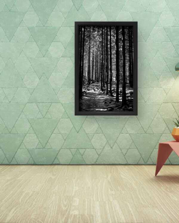 Monochrome Forest Path